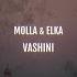 Vashini Radio Mix