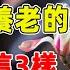 在子女家輪流養老後 我才醒悟養老的意義 晚年守好這3樣 餘生才會越過越幸福 禪語點悟