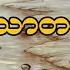 တရ တ တ ဘ က င ခ မ သ တ လ က ခ ဂ ဃ င
