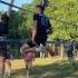Volleyball Hits Luck Or Skill