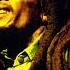 Waiting In Vain BOB MARLEY Shorts Music Icon Iconic Bobmarley Reggae