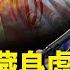 哈梅內伊剛喊不跪就遭滅頂之災 伊朗急求見川普 川普突向普京撂狠話 下一個輪到中共 每日頭條