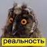 рек прикол отпуск жиза жизненно правдажизни цитаты работа отпускзакончился Llike приколы