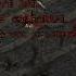 Кот убил Варвара в Diablo 2