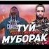 BADIC FT SHON MS Туй муборак