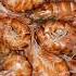 Shrimps Seafood охотка Explore Rap Seafood еда Seafoodcity Vadimermolaev Deliciousseafood