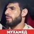 Мухамед Хейбати пояснил зачем едет в Иран оказывается не воевать
