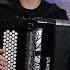Tarantella Napoletana Italian Accordion Music