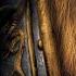 Прохождение Warcraft 3 Reign Of Chaos 1 2 3 4 Главы Компания Людей