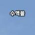 매미 오줌 싸는 모습 실제