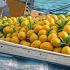 Mangoes Illegal Transport Overloaded Mangos Ship Sink Hindi Kahani Hindi Stories Hindi Moral Stories