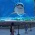 TUBARÃO Porto De Nassau Bahamas 3d Virtualreality Jaws
