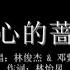 手心的蔷薇 林俊杰 邓紫棋 歌词版