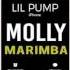 Latest IPhone Ringtone Molly Marimba Remix Ringtone Lil Pump
