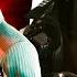 Сетевой Дозор против Вудуистов ВЫБИРАТЬ НЕ НУЖНО Cyberpunk 2077