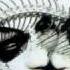 Black Earth Cosmic Retribution Track Five Arch Enemy
