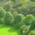 BRITTEN Suite On English Folk Tunes A Time There Was Wmv