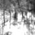 Animus Mortis Ethereal Dimensions