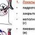 Аускультация легких и сердца