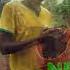 Tvebiomovies 2017 Invasive Alien Species Benin Water Hyacinth