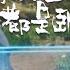 Spy X Sect EP73 Still Screaming Huh Fantasy Made By Bilibili