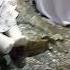 Ya Nabi Salam Alaika Ya Rasool Salam Alaika Ya Habib Salam Alaika Youtube