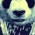 Lefa PANDA REMIX