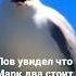 Чайка орёт Jdmcars смешно мемно марк2 чайкаорёт чайка