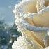 Healing Music To Calm The Mind The Most Beautiful Melodies In The World The Best Compositions By S