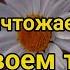 Молитва Пророка Сегодня все болезни излечиваются если Бог даст