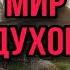 Света попала в мир духов Света и ужасный Валамас Все серии Страшилки от Насти AmyMyr