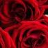 Beautiful Melodies That Make You Cry Music For The Soul Sergey Grischuk