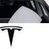Tesla Gezelench Arslansblog TURKMENVLOG 2019