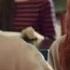 2016 Cheese In The Trap Park Hae Jin And Kim Go Eun Cut