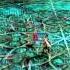 Lineage II The High Five Test Effects Transitions Overlays
