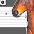 Lil Nas X Old Town Road Feat Billy Ray Cyrus Guitar Tutorial