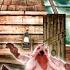 EVIL NUN 2 HORROR GAME NEW SCHOOL ESCAPE TECHNO GAMERZ GAMEPLAY
