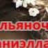 Тальяночка Даниэлла Михайлова