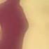 Nipplepeople FRKA