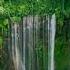 Waterfall Sound With Relaxing Music And Bird Singing 4K Nature Shorts Waterfall Relaxingmusic