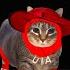 Abracadabra Feat OIIA Cat Lady Gaga Edit
