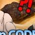 SUB CODE KUNST S Special Chicken Recipe That Surprised Key CODEKUNST