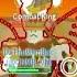 Item Asylum Combat King Kill
