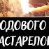 Чистка родового канала снятие застарелой порчи открытие дорог на успех откат завистникам