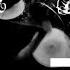 Serj Petrov A Delusion Grizzly Knows No Remorse Equalising Mourning Drum Cover