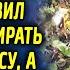 Внук оставил бабушку в лесу а вернувшись домой онемел от увиденного Она находилась