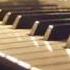 Dean Friedman Solitaire