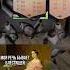 Music Remix мем рекомендации актив Cute Memes Funny Pets жизнь повод мем приколы