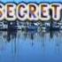 KARAOKE Secret By O M D
