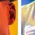 BEST OF ALI KIBA MIX DJ MENDEZ KENYA MIXMONSTER SESSIONS 14